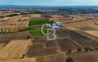 ÇANAKKALE BİGA BALIKLIÇEŞME 2850 m2 SATILIK TARLA