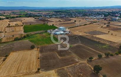 ÇANAKKALE BİGA BALIKLIÇEŞME 2850 m2 SATILIK TARLA