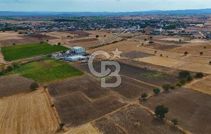 ÇANAKKALE BİGA BALIKLIÇEŞME 2850 m2 SATILIK TARLA