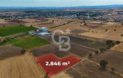 ÇANAKKALE BİGA BALIKLIÇEŞME 2850 m2 SATILIK TARLA