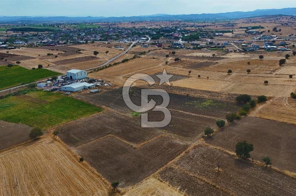 ÇANAKKALE BİGA BALIKLIÇEŞME 2850 m2 SATILIK TARLA