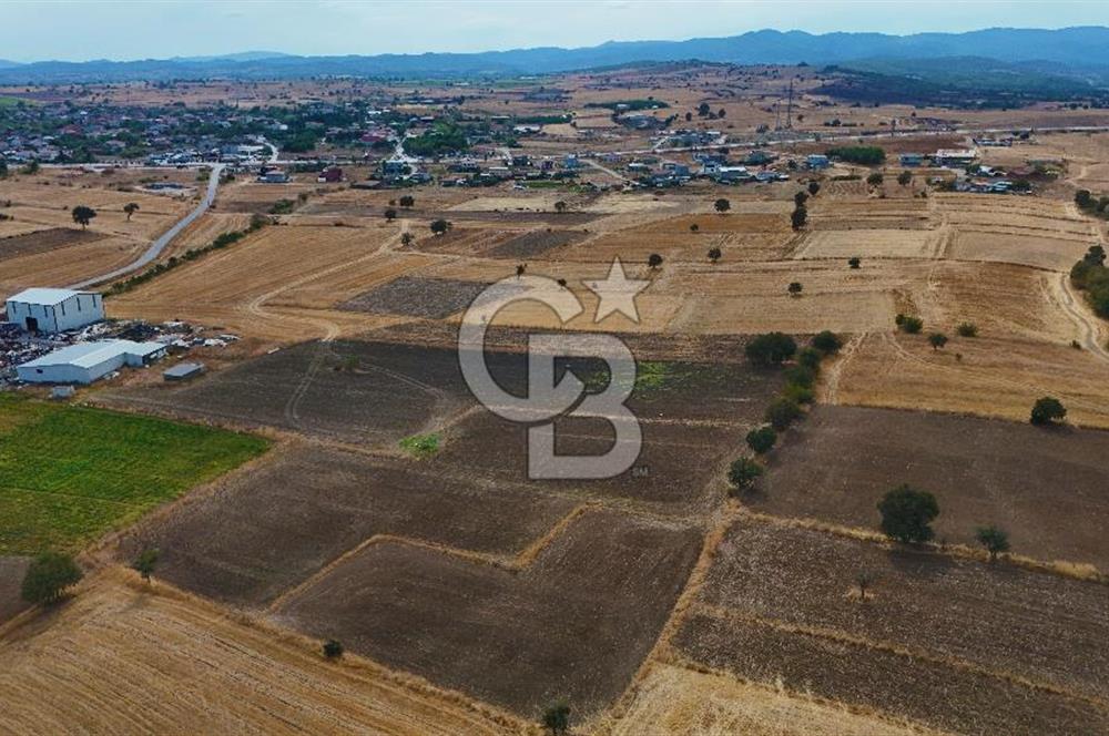 ÇANAKKALE BİGA BALIKLIÇEŞME 2850 m2 SATILIK TARLA