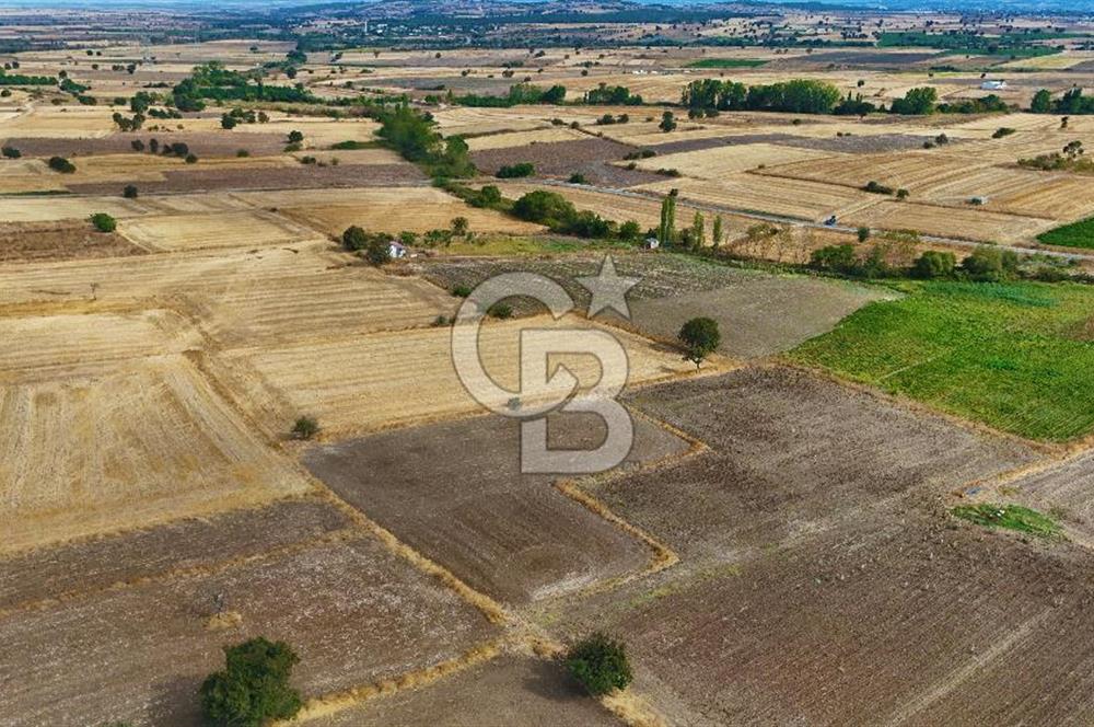 ÇANAKKALE BİGA BALIKLIÇEŞME 2850 m2 SATILIK TARLA