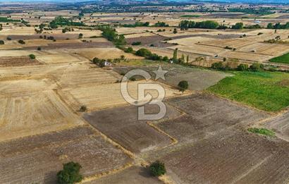 ÇANAKKALE BİGA BALIKLIÇEŞME 2850 m2 SATILIK TARLA