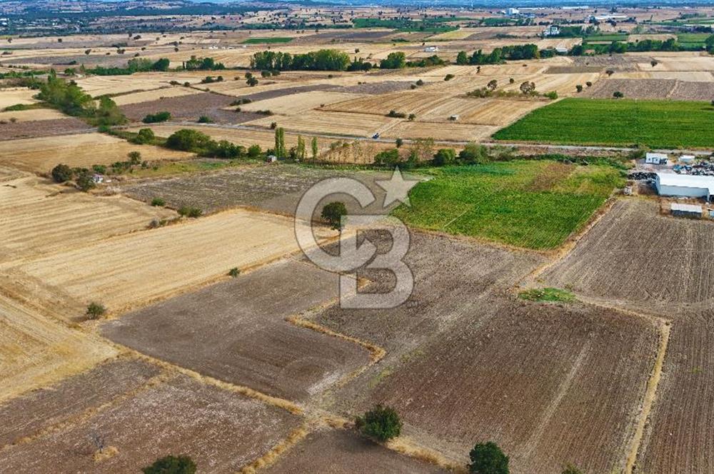 ÇANAKKALE BİGA BALIKLIÇEŞME 2850 m2 SATILIK TARLA