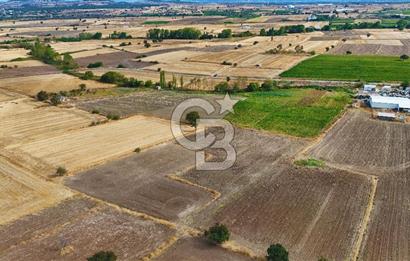 ÇANAKKALE BİGA BALIKLIÇEŞME 2850 m2 SATILIK TARLA