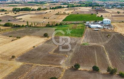 ÇANAKKALE BİGA BALIKLIÇEŞME 2850 m2 SATILIK TARLA