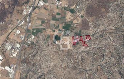 AYVALIK GAZİKEMALPAŞA MAHALLESİ KUYULU 500 AĞAÇLI ZEYTİNLİK