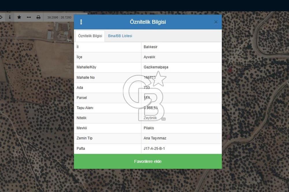 AYVALIK GAZİKEMALPAŞA 4 DÖNÜM BAKIMLI ZEYTİNLİK