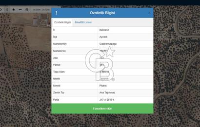 AYVALIK GAZİKEMALPAŞA 4 DÖNÜM BAKIMLI ZEYTİNLİK
