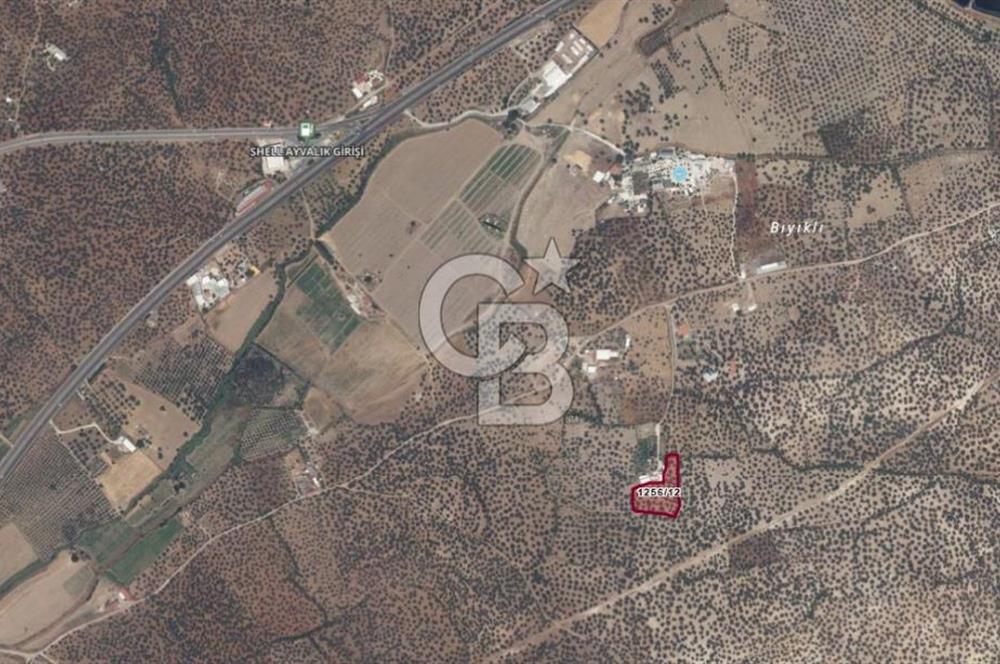 AYVALIK FETHİYE MAHALLESİ ANAYOLA YAKIN 56 AĞAÇLI ZEYTİNLİK