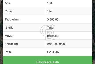 KAŞ DOĞANTAŞ ERİKGERİŞİ SATILIK TARLA - 1 - 318083