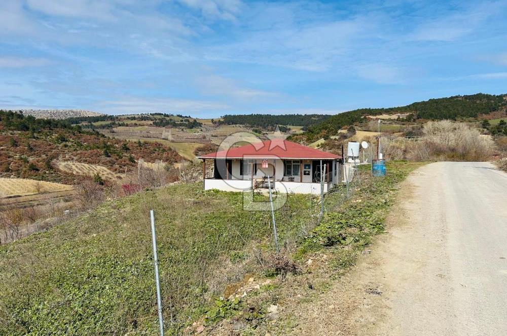 satılık tarla sakarya gevve