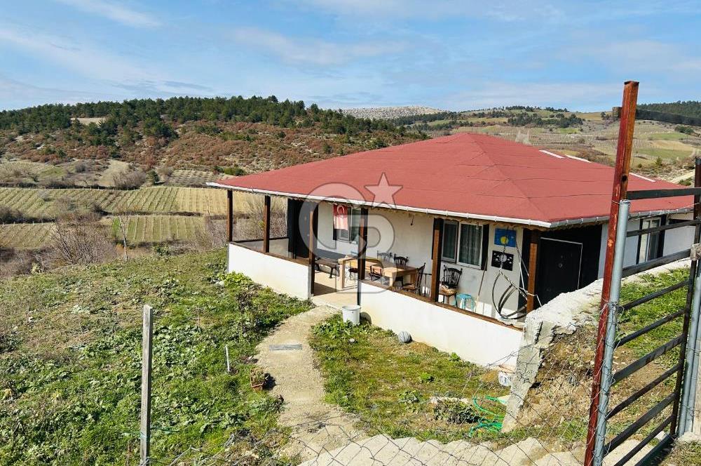 satılık tarla sakarya gevve