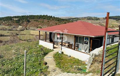 satılık tarla sakarya gevve