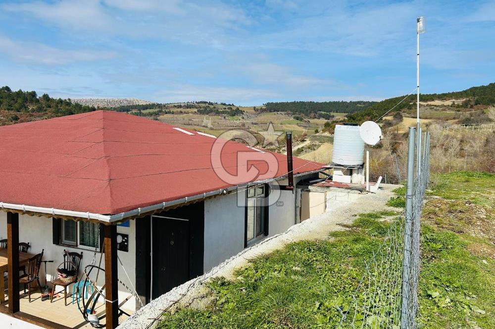 satılık tarla sakarya gevve