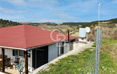 satılık tarla sakarya gevve