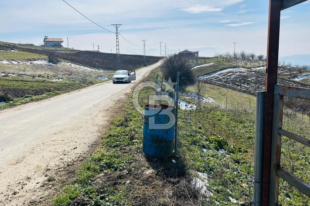 satılık tarla sakarya gevve
