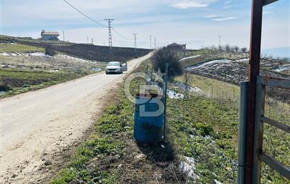 satılık tarla sakarya gevve