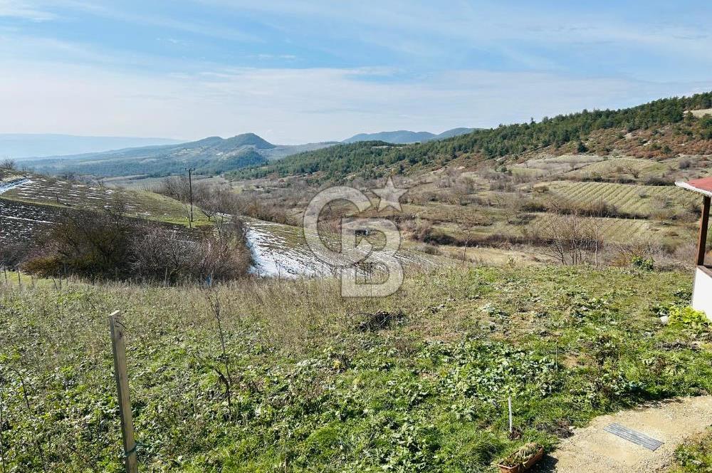 satılık tarla sakarya gevve