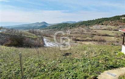 satılık tarla sakarya gevve