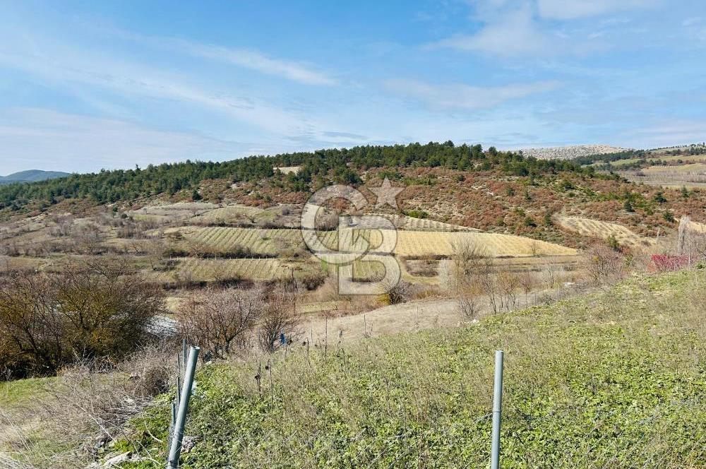 satılık tarla sakarya gevve