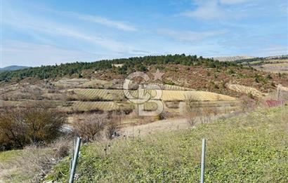 satılık tarla sakarya gevve