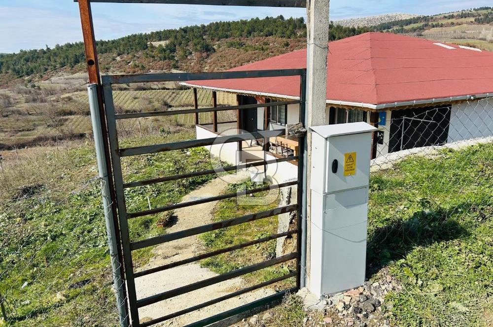 satılık tarla sakarya gevve