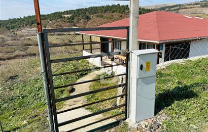 satılık tarla sakarya gevve