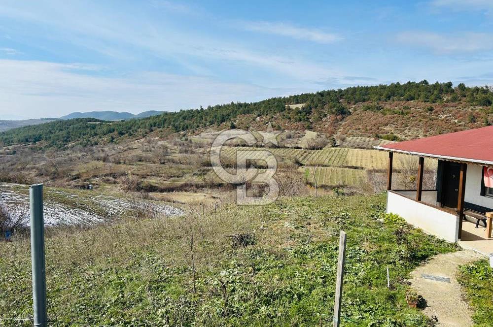 satılık tarla sakarya gevve