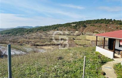 satılık tarla sakarya gevve