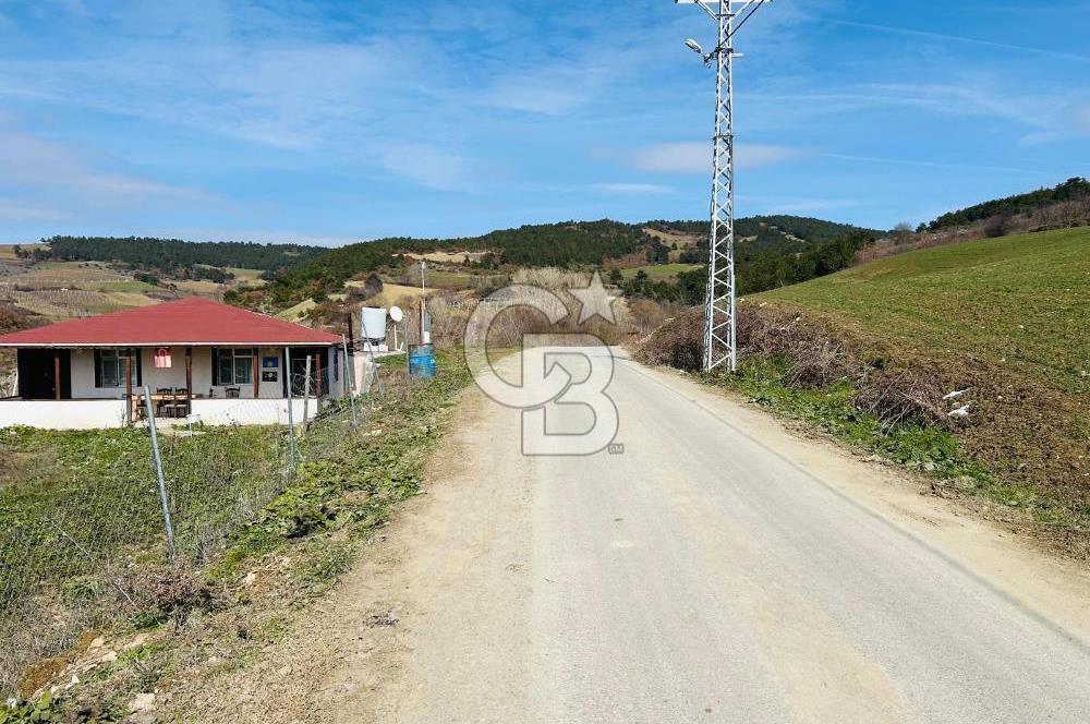 satılık tarla sakarya gevve