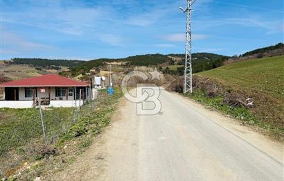 satılık tarla sakarya gevve