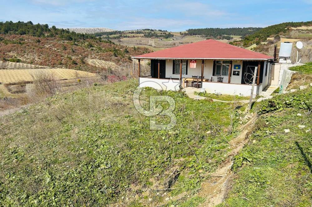 satılık tarla sakarya gevve