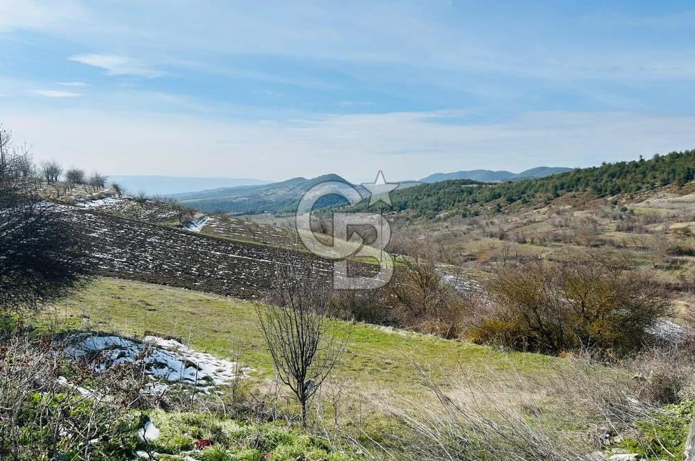 satılık tarla sakarya gevve