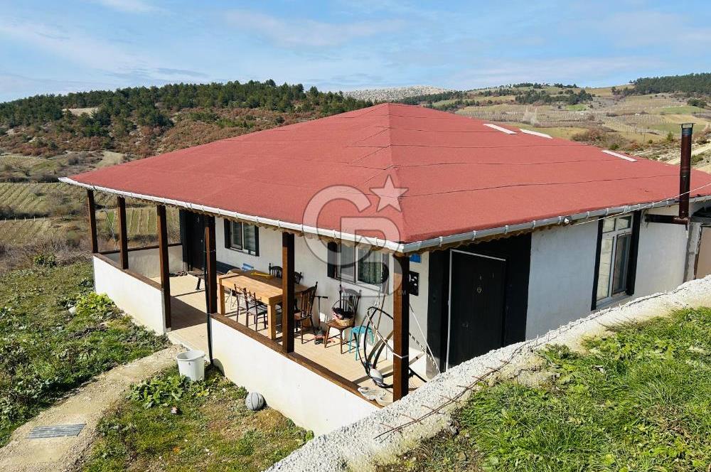 satılık tarla sakarya gevve