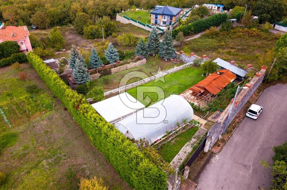 Beykoz Çavuşbaşı Satılık 1925 m2 Villa İmarlı Arsa