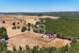 BİLECİK TOZMAN KÖYÜNDE 219 DÖNÜM MÜSTAKİL TAPULU ARAZİ - 1 - 318098