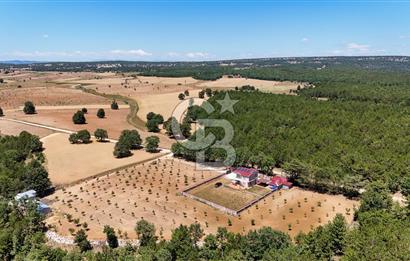 BİLECİK TOZMAN KÖYÜNDE 219 DÖNÜM MÜSTAKİL TAPULU ARAZİ