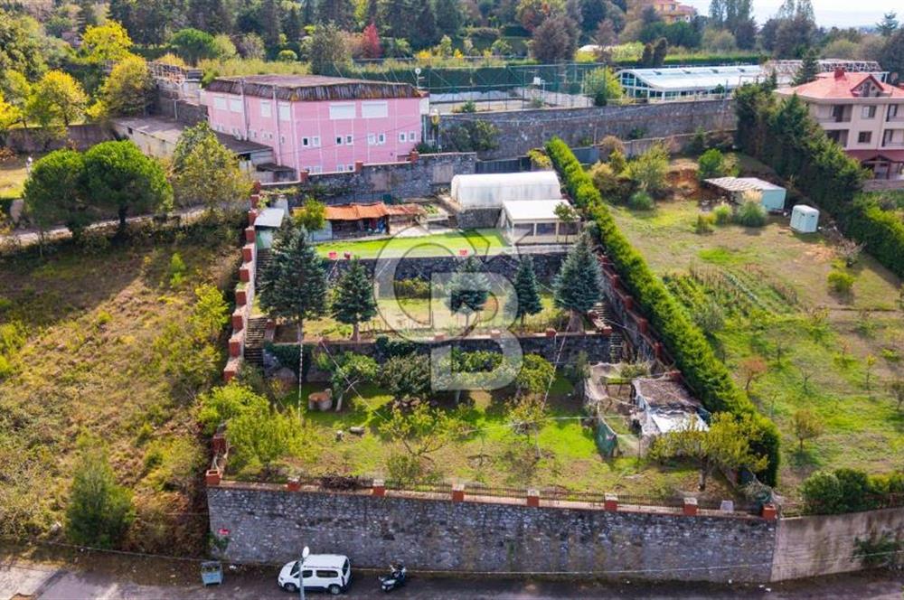 Beykoz Çavuşbaşı Satılık 1925 m2 Villa İmarlı Arsa