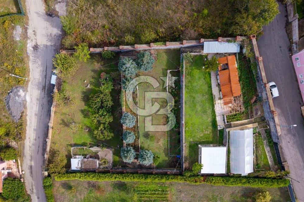 Beykoz Çavuşbaşı Satılık 1925 m2 Villa İmarlı Arsa