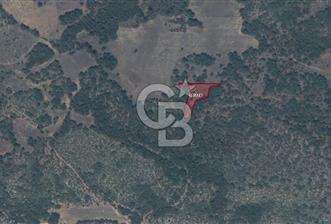 CB NETA ÖMER ÜNSAL'DAN İSMETPAŞA MH 1525 M2 PARSEL - 1 - 318095