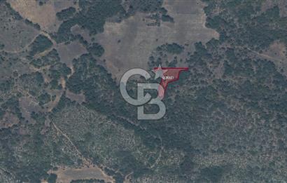 CB NETA ÖMER ÜNSAL'DAN İSMETPAŞA MH 1525 M2 PARSEL