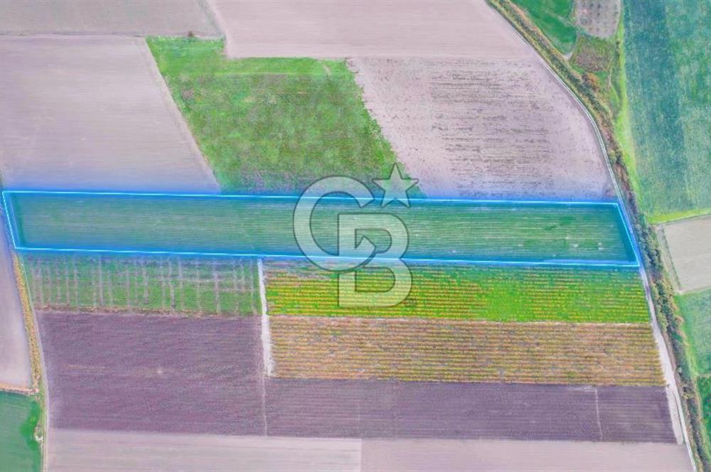 Akhisar Satılık  21.250 m2 Tarla