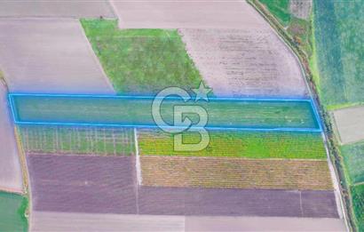 Akhisar Satılık  21.250 m2 Tarla