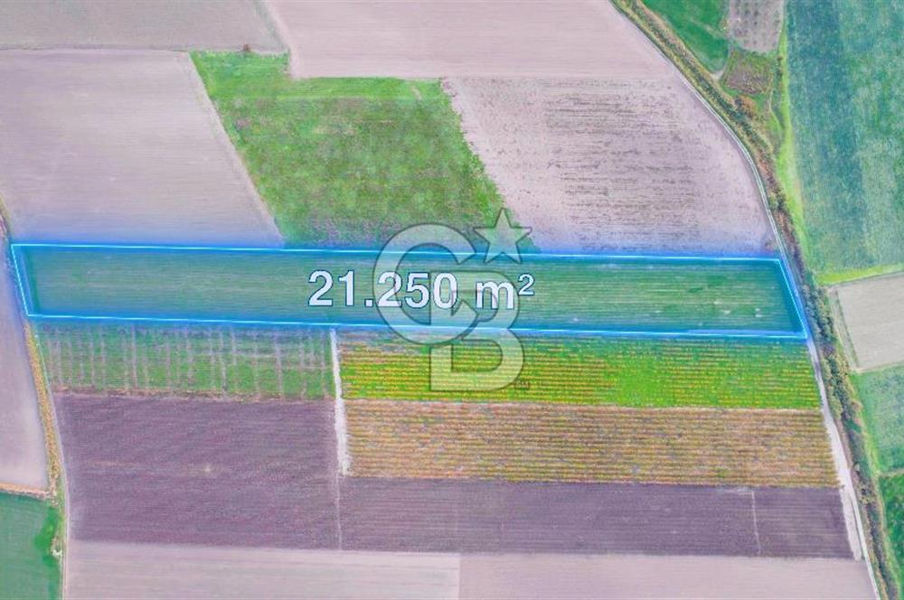 Akhisar Satılık  21.250 m2 Tarla