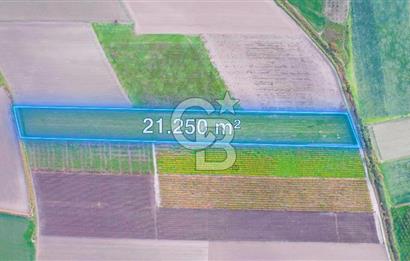 Akhisar Satılık  21.250 m2 Tarla