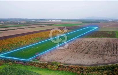 Akhisar Satılık  21.250 m2 Tarla
