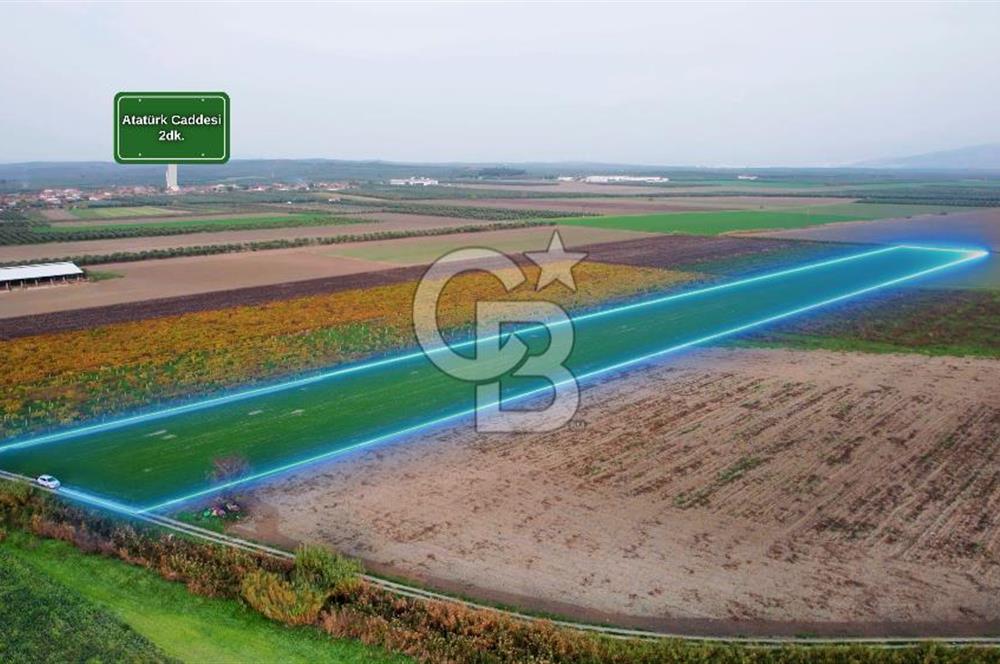 Akhisar Satılık  21.250 m2 Tarla