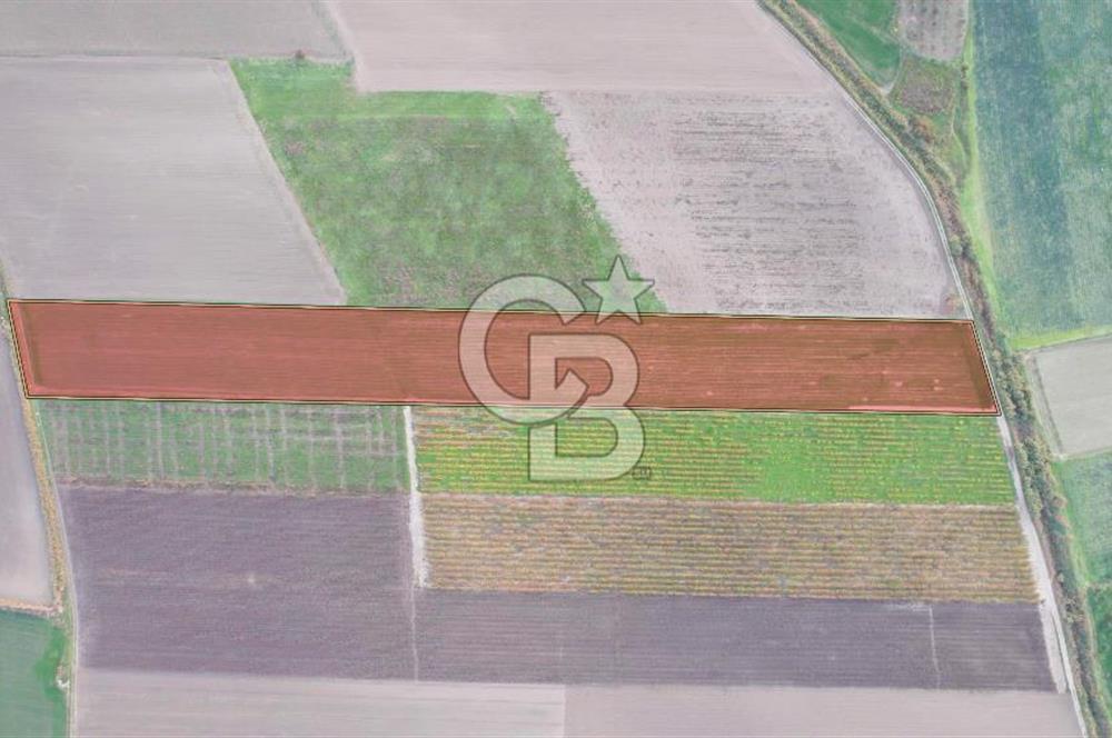 Akhisar Satılık  21.250 m2 Tarla